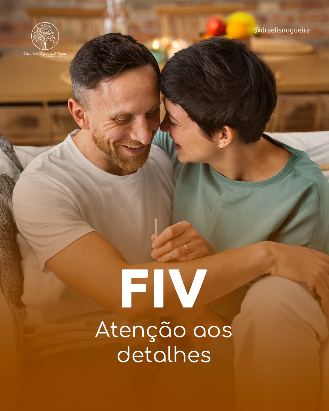 FIV: Atenção aos detalhes