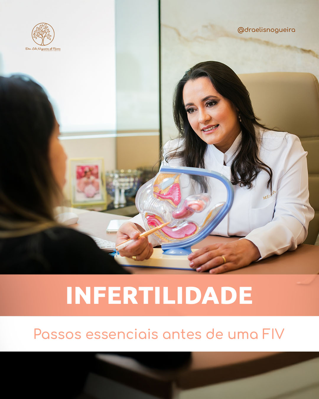 Infertilidade - Passos essenciais antes de uma FIV