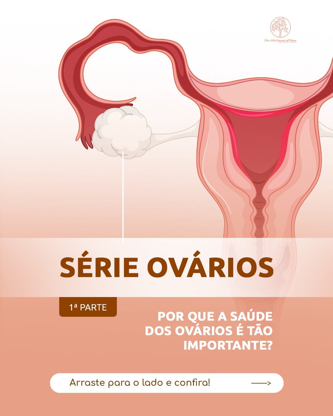 Série Ovários | Parte 1 - Por que a saúde dos ovários é tão importante?