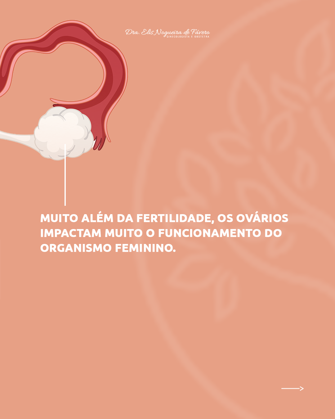 Série Ovários | Parte 1 - Por que a saúde dos ovários é tão importante?