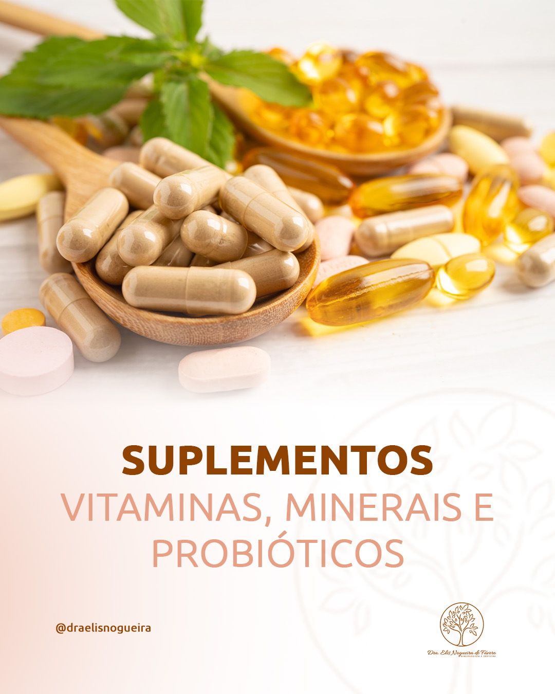 Suplementos de Vitaminas, Minerais e Probióticos - Dra. Elis Nogueira